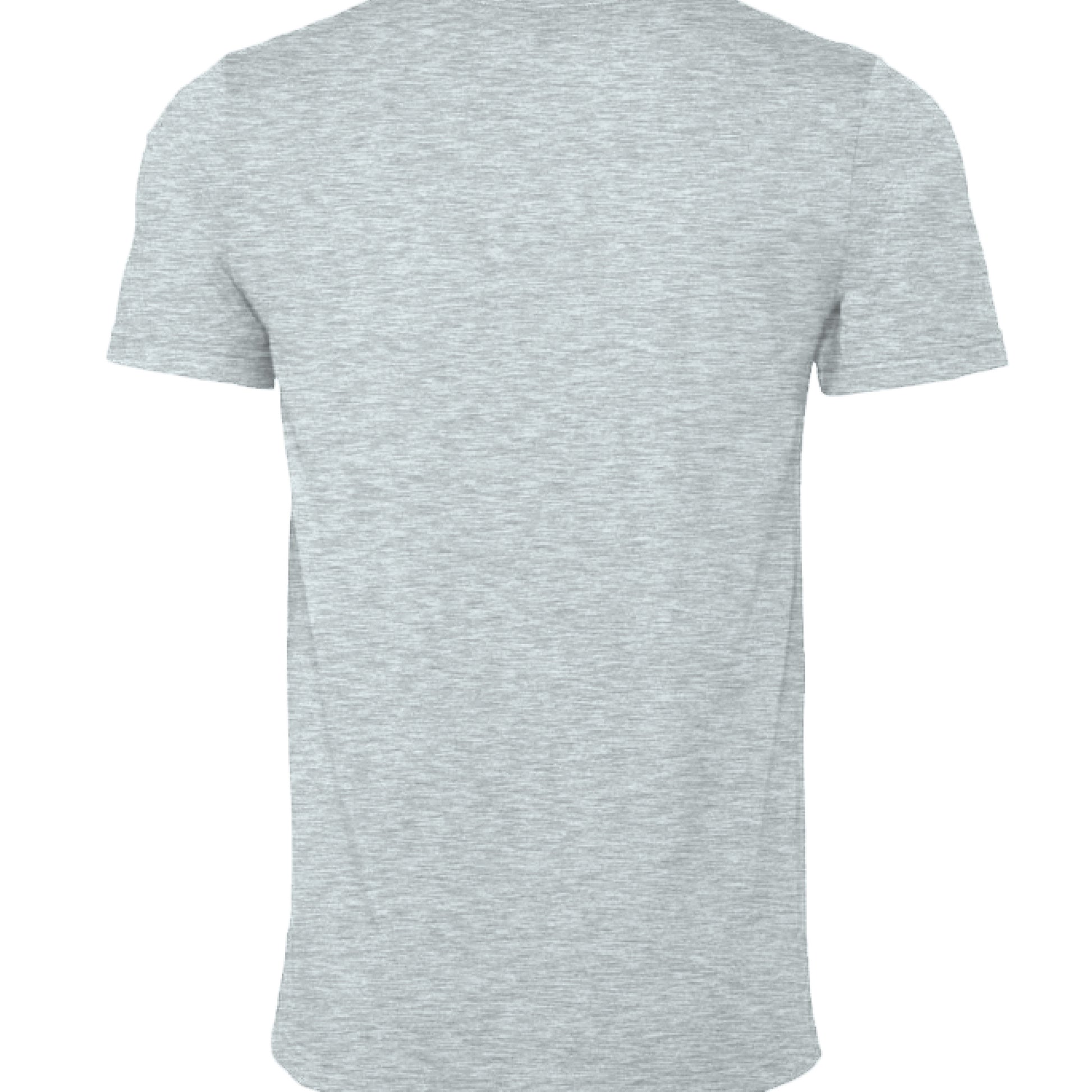 HTH PRSM ICE BLU - BACK